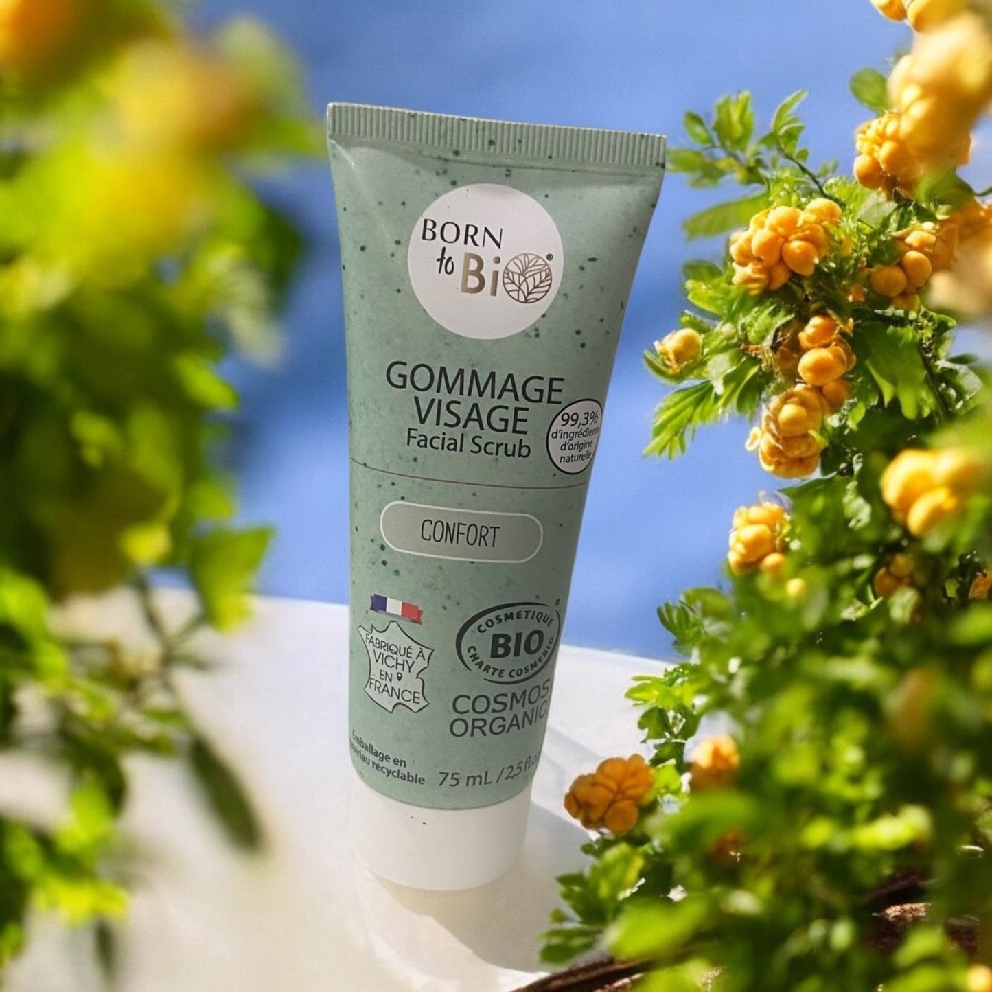 Gommage visage  confort peaux normales à sèches  75ML BORN TO BIO