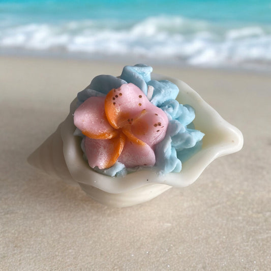 Bougie décorative parfumée coquillage